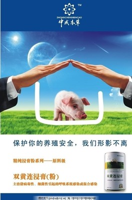 豬養殖產品廣告圖片